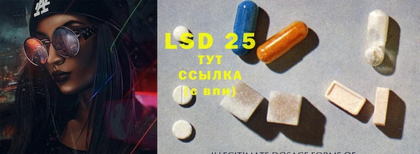гашик Пересвет