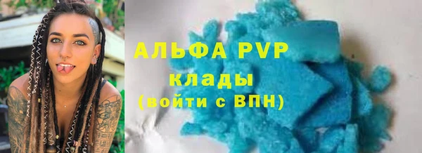 гашик Пересвет