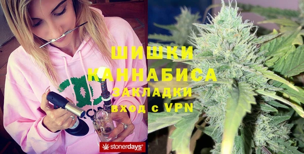 гашик Пересвет