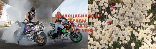 дурь Пестово