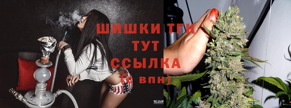 спайс Абаза