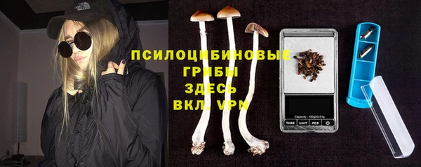 дурь Пестово